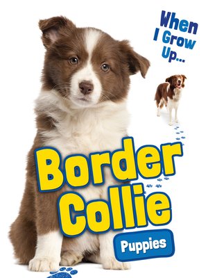 cover image of Border Collie Puppies